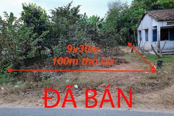 da-ban-dat-mt-nhua-9x30m-co-100m-tho-cu-xa-tan-thong-hoi-gan-cho-viet-kieu